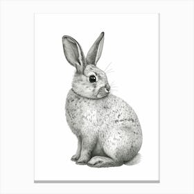 Silver Marten Rabbit Nursery Illustration 3 Canvas Print