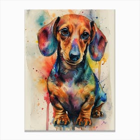 Dachshund Watercolor Painting 3 Canvas Print