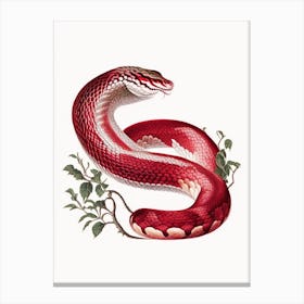 Scarlet Snake 1 Vintage Canvas Print