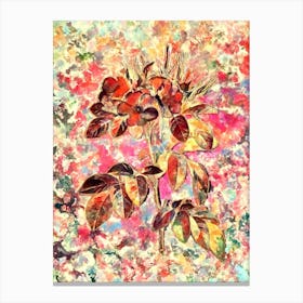 Impressionist Pasture Rose Botanical Painting in Blush Pink and Gold Canvas Print