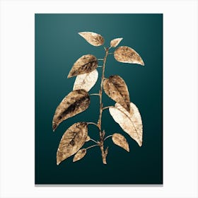 Gold Botanical Balsam Poplar Leaves on Dark Teal Canvas Print