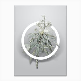 Vintage Pleomele Minimalist Flower Geometric Circle on Soft Gray Canvas Print