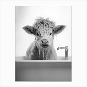 Cow In The Bath Canvas Print