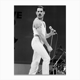 Freddie Mercury Canvas Print