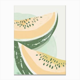 Honeydew Melon Close Up Illustration 2 Canvas Print