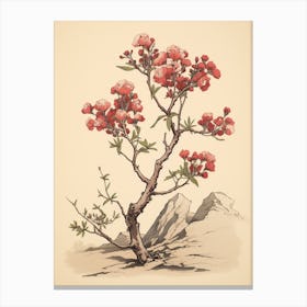 Hanakotoba Crape Myrtle 2 Vintage Japanese Botanical Canvas Print