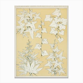 Vintage Pattern Illustration, Owen Jones                                                                                                Canvas Print