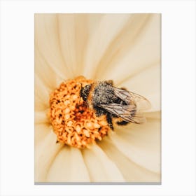 Bee On Flower Canvas Print