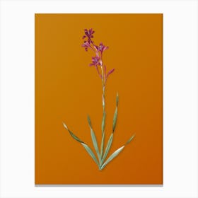 Vintage Bugle Lily Botanical on Sunset Orange n.0141 Canvas Print