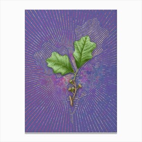 Vintage Bear Oak Leaves Botanical Illustration on Veri Peri n.0624 Canvas Print