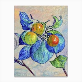 Physalis 1 Vintage Sketch Fruit Canvas Print