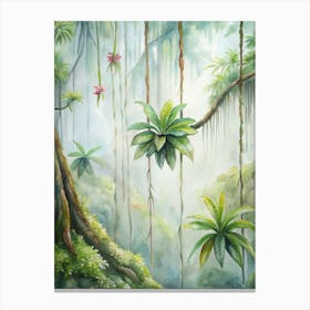 9 Rainforest Epiphytes Clinging To Tall Branches (1) Canvas Print