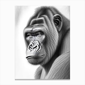 Gorilla With Wondering Face Gorillas Greyscale Sketch 1 Canvas Print