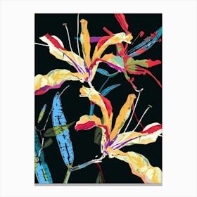 Neon Flowers On Black Kangaroo Paw 2 Canvas Print