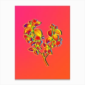 Neon Crossberry Botanical in Hot Pink and Electric Blue n.0104 Canvas Print