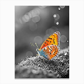 Butterfly In Black And White 1 Canvas Print