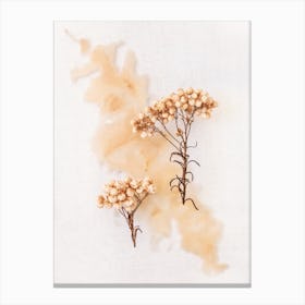 Delicate Peachy Florals Canvas Print