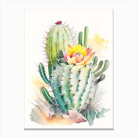 Notocactus Cactus Storybook Watercolours Canvas Print