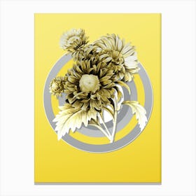 Botanical China Aster in Gray and Yellow Gradient n.200 Canvas Print