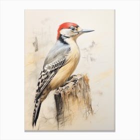 Vintage Bird Drawing Woodpecker 3 Canvas Print