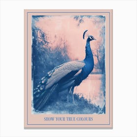Peacock By The River Cyanotype Inspired 1 Poster Canvas Print