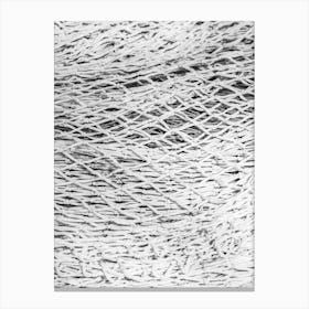 Black And White Image Of A Net 1 Canvas Print