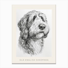 Old English Sheepdog Line Sketch 2 Poster Canvas Print
