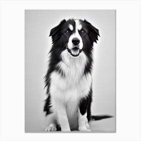 Collie B&W Pencil dog Canvas Print