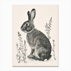 American Sable Blockprint Rabbit Illustration 6 Canvas Print