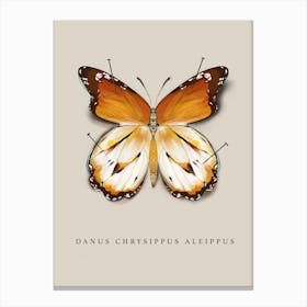 Butterfly No9 Canvas Print