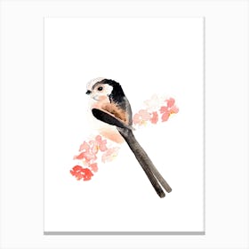 Long Tailed Tit And Pink Blossom Canvas Print