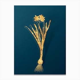 Vintage Lesser Wild Daffodil Botanical in Gold on Teal Blue n.0283 Canvas Print