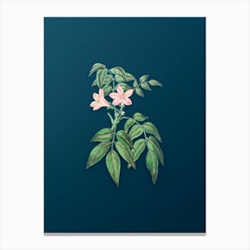 Vintage Turraea Pinnata Flower Botanical Art on Teal Blue n.0212 Canvas Print