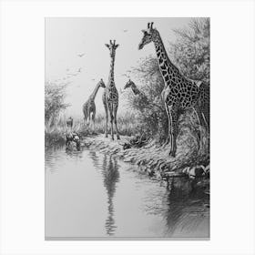 Giraffes Inspecting Their Reflection Pencil Drawing 1 Canvas Print