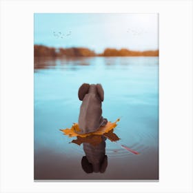 Baby Elephant On A Leaf River Trip Canvas Print