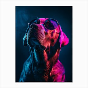 Beautiful Dog Under Neon Lights 5 Canvas Print