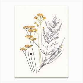 Caraway Spices And Herbs Minimal Line Drawing 3 Canvas Print