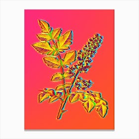 Neon Golden Rain Tree Botanical in Hot Pink and Electric Blue n.0532 Canvas Print