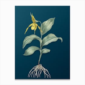 Vintage Yellow Lady's Slipper Orchid Botanical Art on Teal Blue n.0742 Canvas Print