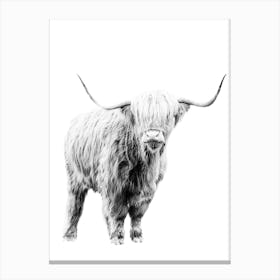 Highland Cow 4 Canvas Print