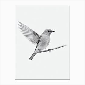 Eastern Bluebird B&W Pencil Drawing 1 Bird Canvas Print