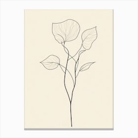 Line Drawing Of A Flower 2 Canvas Print