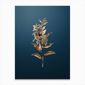 Gold Botanical Evergreen Oak on Dusk Blue n.2055 Canvas Print