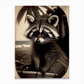 Tropical Raccoon Vintage Photography Canvas Print
