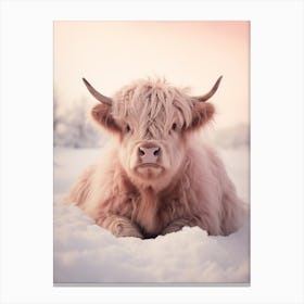 Pink Highland Cow Lying In The Snow 2 Canvas Print