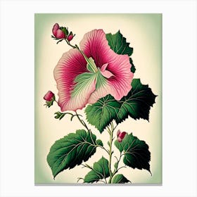 Swamp Rose Mallow Wildflower Vintage Botanical 1 Canvas Print