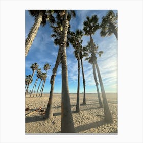 Palm Trees On The Beach Canvas Print