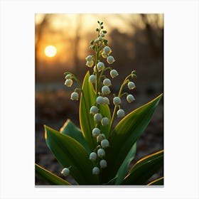 Lily Of The Valley 22 Canvas Print