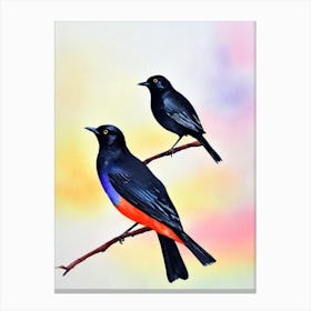 Blackbird 2 Watercolour Bird Canvas Print