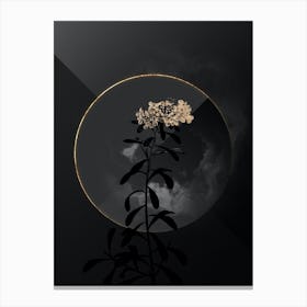 Shadowy Vintage Small White Flowers Botanical on Black with Gold n.0119 Canvas Print